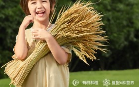盖狮多款产品齐发力，赋能健康饮食新升级